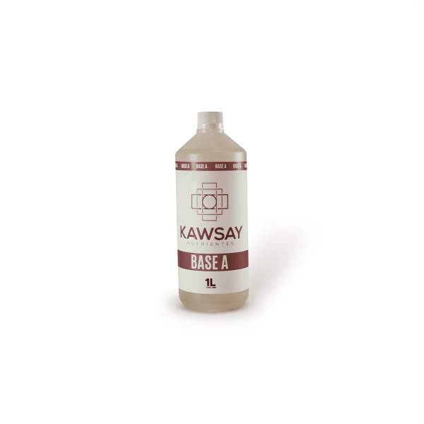 base a 1l