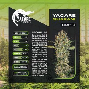 Yacare Guarani 22% THC(INASE)