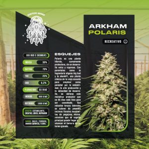 ESQUEJE POLARIS 23% THC (INASE)